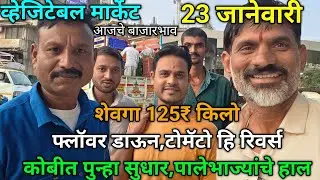 23 January 2026 भाजीपाला आजचे बाजारभाव नाशिक APMC Market #sabji_mandi_bhav_today 