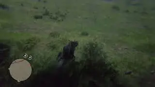 Red Dead Redemption 2 - Arthur Morgan Sings Drunk on Aged Pirate Rum