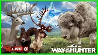 🏮OMR LIVE!🏮 | 5 Star & Rare Hunting w/Pirate Pickle | Way of the Hunter