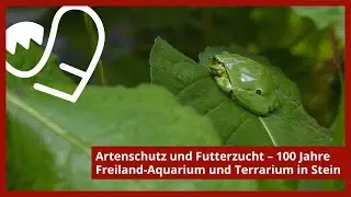 Artenschutz und Futterzucht &ndash; 100 Jahre Freiland-Aquarium und Terrarium in Stein