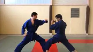 Techniques de base Viet Vo Dao