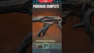 NEW BUNDLE LEAKS #leaks #newbundle #valorantbundles