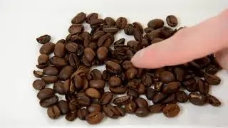 Kaldi [coffee] East Timor Ermera hatulia 東ティモール エルメラ県ハトリア地区 カルディコーヒー
