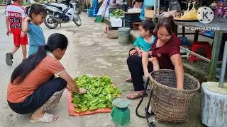 Harvesting natural fruits for sale - Cleaning up the farm | Building a new life