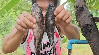 KINAMATISANG BIYAYA | PAGKAING BUKID | OUTDOOR COOKING |Team AgustinTv
