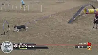 Revolution 2024 nadac champs Reserve Champion Double Digit #nadac #cleanrun #dogagility