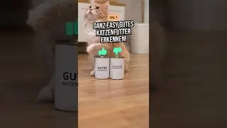 Ganz EASY gutes Katzenfutter erkennen! 😎👌 | Teil 1 | #katzenliebe #katzenleben #katzenfutter