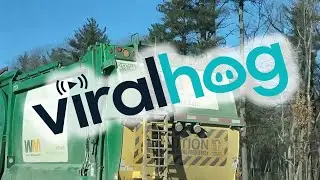 Raccoon Goes for a Garbage Truck Ride || ViralHog