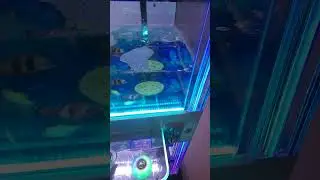 new game arcade fishing awesome #awesome #cool #fishing #games