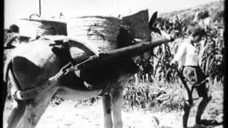 Vida en la huerta valenciana  Año 1933