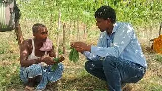 Chunnu kumar Mdo Nunhems india privet limited company Bitter Gourd Robusta Farmer Feedback 
