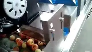 industrial Apple washing machine, Brush cleaner with wind motor/airknife