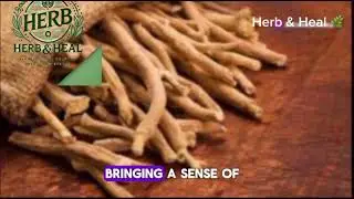 Natural Herbs for Healing Infertility | Boost Fertility Naturally @HerbalAndHealing