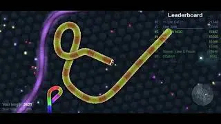 Circle the prey inside you and then kill it slowly. Slither.io |