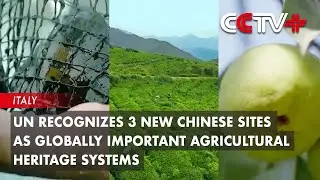 UN Recognizes 3 New Chinese Sites as Globally Important Agricultural Heritage Systems