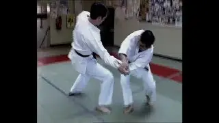 Master Sakagami Sensei 8th dan