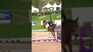 Best jump 💕 #horses #jumping #equestrian #competition #fyp #shorts #blowup #jumping #highjump