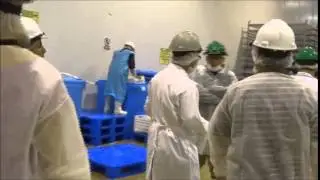 Fish Processing plant (Lima, Peru): Pesquera Diamante