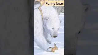 Funny bear playing with Rabbit 🤣. #funny #snowbear #rabbit