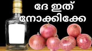 How to make Bottle art with Onion peels| Craft with Kitchen waste | Simple and Easy Bottle art| DIY