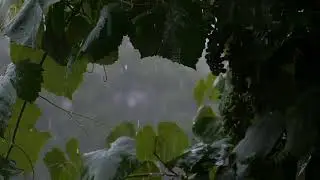rain sound effect no copyright