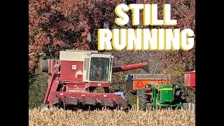 Daughter Breaktime - Gleaner R65 & International 715 Still in Action Harvest 2024 #harvestchaser