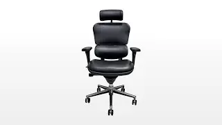 Ergohuman Leather Chair Review
