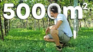 Taglio l'erba del VIGNETO con il NUOVO TRATTORINO STIGA