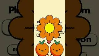 🍋 WIN A TRIP TO THE BITTERSWEET DAZE SHOW IN LA !!!! ☀️