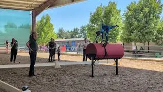 Willamina Tiny Tot barrel freestyle at the National Vaulting Championships 2025