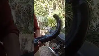 open cat silencer. rx #trending #modification #viral #rx