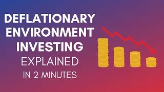 How To Invest In A Deflationary Environment? (2024)