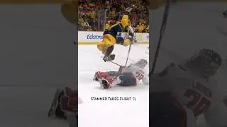 Stamkos Takes Flight 😅