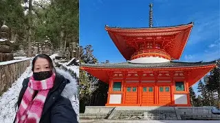 A short visit to KOYASAN | Cable car, sacred burial ground, temple lodging, Buddhist ceremony