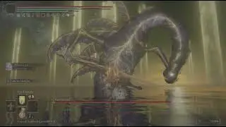 ELDEN RING Rakshasa vs Radagon e Elden Beast