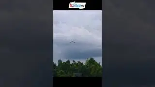 😮🤔 If a drone and a plane had a baby - Super Efficient and Crazy Spinny (Nick Rehm Trimotor VTOL) 4