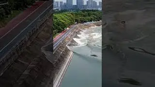 Caught the Qiantang tidal bore &ldquo;dragon-tail&rdquo; sweep&mdash;one roaring wall of water curling like a serpent.