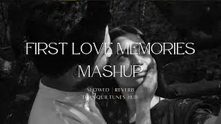 First Love Memories Mashup &ndash; LoFi Remix | Slowed + Reverb | Heart Touching Vibes | TranquilTunes Hub