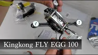 Kingkong FLY EGG 100 (юркий малыш)