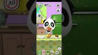 My Talking Panda Level 40