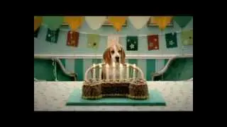 Bob Martin Dog Food TV Ad