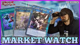 CARDS YOU NEED TO GET FOR FUTURE META AND INSANE PRICE HIKES!!! Yu-GI-Oh! Market Watch!