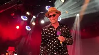 THE DUALERS - Mr Penniless