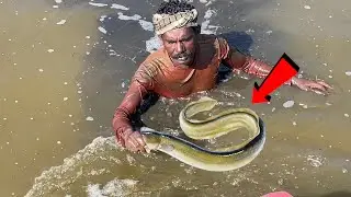 കുത്തുവലയിൽ കേറിയ ഭീകരനെ കണ്ടു ഞെട്ടി ..! Traditional Fishing | Kerala fishing