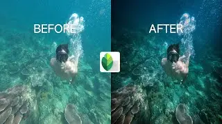 Using Tone & RGB Curves | SNAPSEED Tutorial Photo Editing | Quick & Simple | 后期修图软件