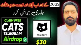 How to Join Cats Coin Telegram Airdrop | cats telegram coin