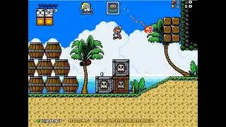 Mushroom Kingdom Fusion v0.92 : The Mushroom Kingdom - Rice Beach