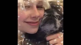 Come back phoebe #phoebebridgers#fyp#edit