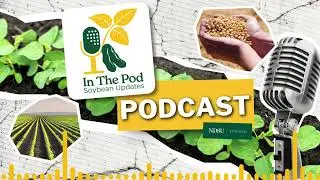 Ground Rules: Managing Soil Fertility for Soybean Success - In the Pod Soybean Updates