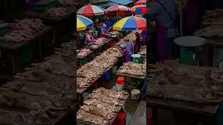 Inside a Rabbit Meat Market #animals #shorts